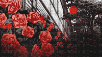 MMarcia gif rosas red fond - Бесплатный анимированный гифка