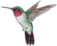 soave deco bird hummingbird pink green - ücretsiz png