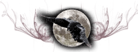 moon - ilmainen png