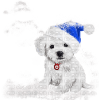 Kaz_Creations Dogs Dog Pup 🐶 Christmas - png gratis