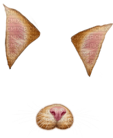 Snap Chat Cat - zadarmo png