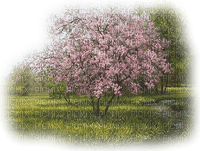 jardin  arbol rosa dubravka4 - безплатен png