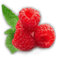 raspberries bp - PNG gratuit