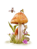 champignons - ilmainen png