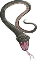 serpent - ingyenes png
