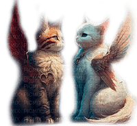Winged cats - darmowe png