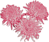 soave deco flowers  Chrysanthemums pink - δωρεάν png
