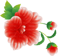 All my lovely flowers - bezmaksas png