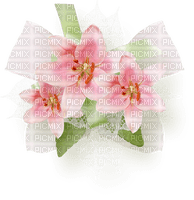 Trio fleurs roses - gratis png