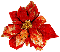 Christmas.Flower.Red.Gold - 免费PNG