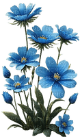 Flores azules - darmowe png