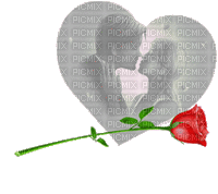 coe couple Paar pareja coppia casal noir black blanc White rose - GIF animé gratuit