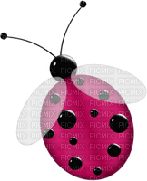 Kaz_Creations Deco Ladybug Ladybugs  Colours - nemokama png