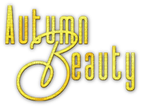 soave text autumn beauty yellow - фрее пнг