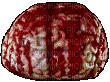 brain - Bezmaksas animēts GIF