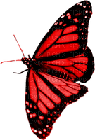 BUTTERFLY! - Free PNG