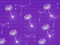fond violet avec pisenlit - Δωρεάν κινούμενο GIF