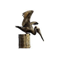 Pelican - png ฟรี