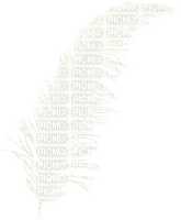 deco-plume - Free PNG