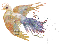 gif oiseau - Nemokamas animacinis gif