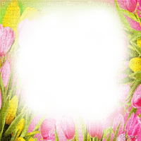 soave frame flowers tulips spring pink green - 無料png