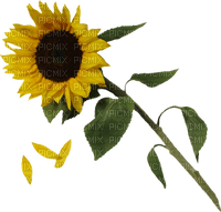 Kaz_Creations Deco Flowers Sunflower Flower - PNG gratuit