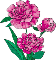 Peony Flower Red Green - Bogusia - 無料png