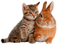 rabbit and cat by nataliplus - gratis png