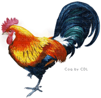 cock - png grátis