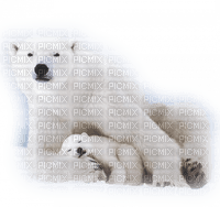ours - kostenlos png