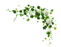fleurs ( - 免费PNG