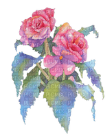 Цветы; акварель - zadarmo png