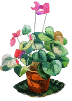 Цветок акварелью - zadarmo png