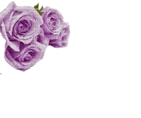 minou-flower-roses-purple - gratis png