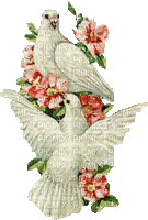 Tauben und Blumen - GIF animé gratuit