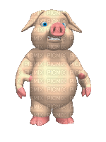 Porco - Besplatni animirani GIF
