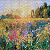 kikkapink background flowers spring field - GIF animasi gratis