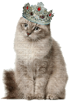 королевская кошка - Animovaný GIF zadarmo