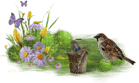 Frühling, Vogel, Blumen - zdarma png