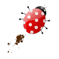 Kaz_Creations Ladybugs Ladybug - nemokama png
