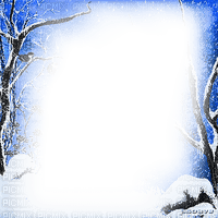 soave frame christmas winter tree forest branch - безплатен png