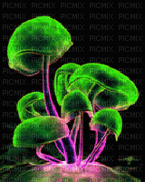 flowers mushroom NitsaPap - Nemokamas animacinis gif