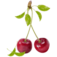 Kaz_Creations Cherries Cherry - PNG gratuit