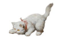 gato  blanco vintage  dubravka4 - png ฟรี