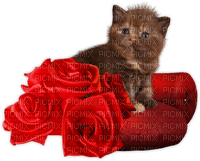 patricia87 chat - 免费PNG