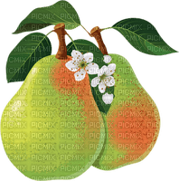 pears bp - PNG gratuit
