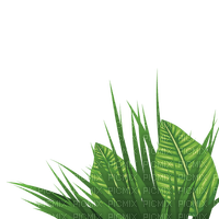 green leaves Bb2 - Free PNG
