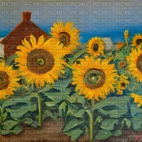 Sunflowers - nemokama png
