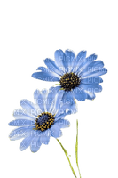 fleurs bleues - gratis png