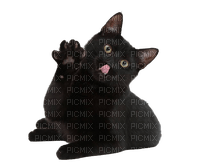 черный кот ❣ black cat - ilmainen png